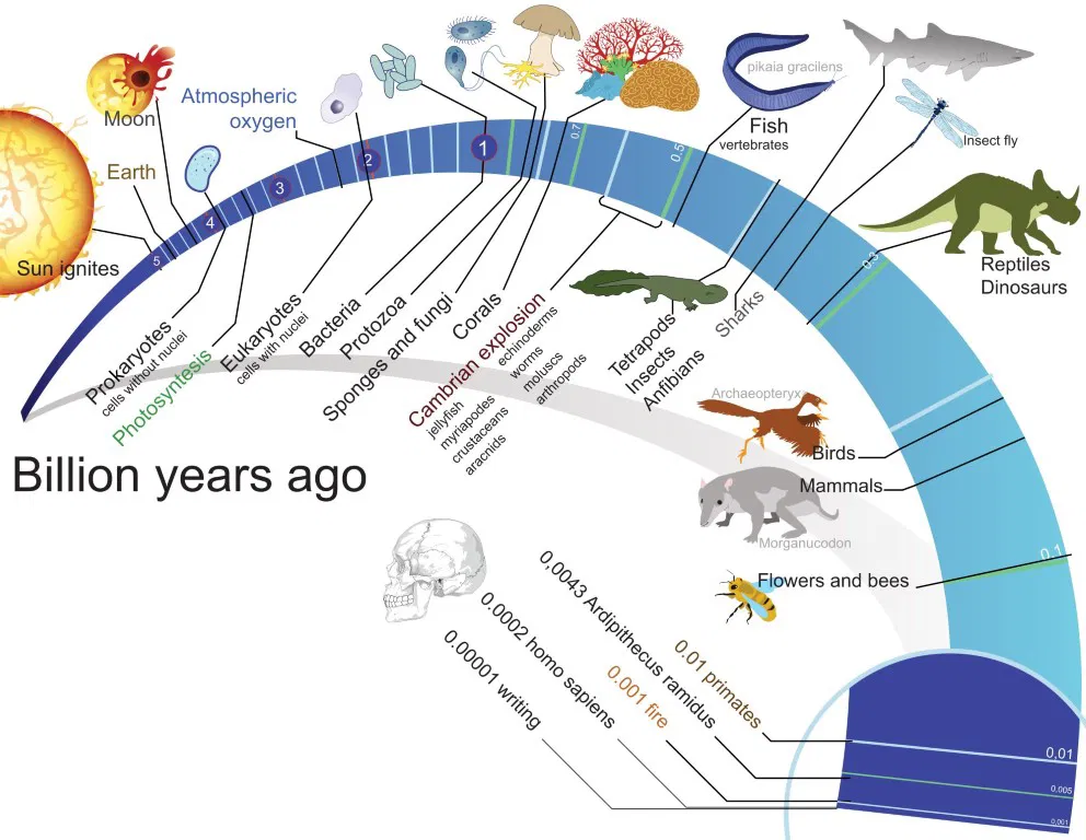 The interaction of microorganisms with humans, animals, and plants